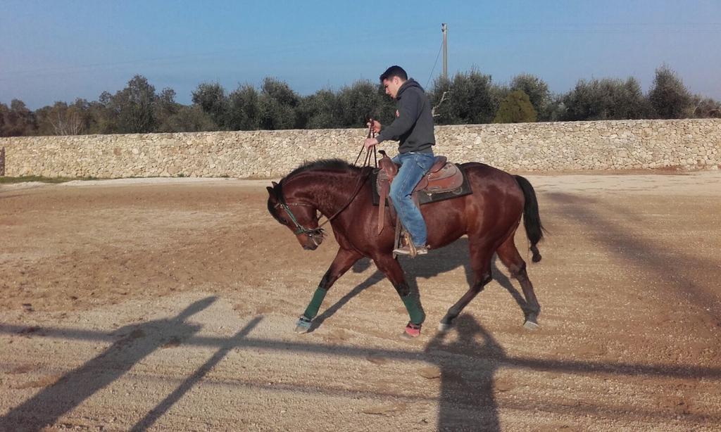 מרטאנו Masseria Sucea מראה חיצוני תמונה